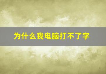 为什么我电脑打不了字