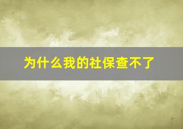 为什么我的社保查不了