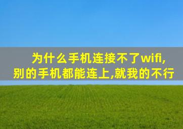 为什么手机连接不了wifi,别的手机都能连上,就我的不行