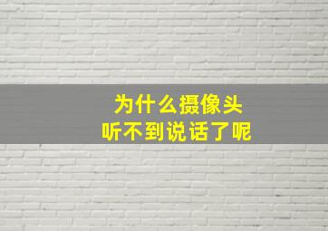 为什么摄像头听不到说话了呢