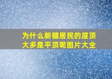 为什么新疆居民的屋顶大多是平顶呢图片大全