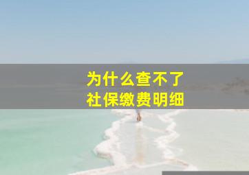 为什么查不了社保缴费明细