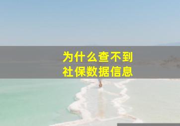 为什么查不到社保数据信息