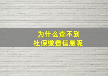 为什么查不到社保缴费信息呢