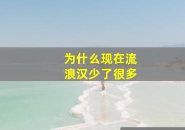 为什么现在流浪汉少了很多