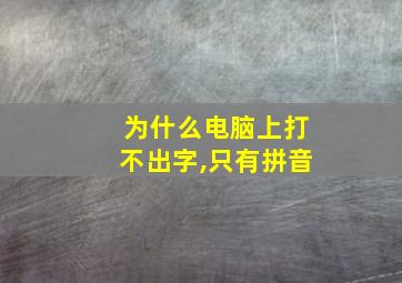 为什么电脑上打不出字,只有拼音