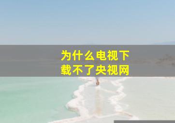 为什么电视下载不了央视网