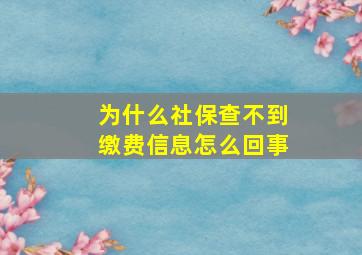 为什么社保查不到缴费信息怎么回事