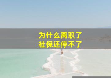 为什么离职了社保还停不了