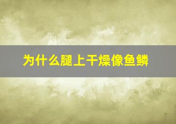 为什么腿上干燥像鱼鳞