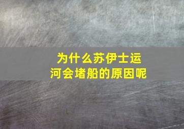 为什么苏伊士运河会堵船的原因呢