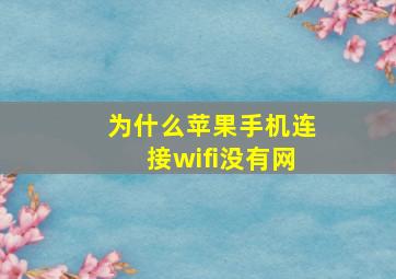 为什么苹果手机连接wifi没有网