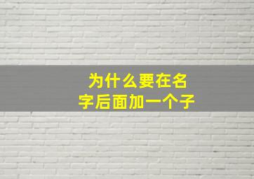 为什么要在名字后面加一个子