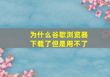 为什么谷歌浏览器下载了但是用不了