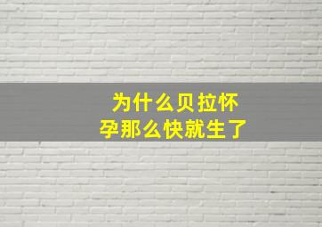 为什么贝拉怀孕那么快就生了