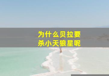 为什么贝拉要杀小天狼星呢