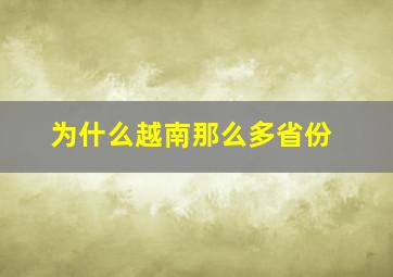 为什么越南那么多省份