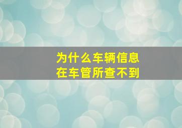 为什么车辆信息在车管所查不到