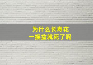 为什么长寿花一换盆就死了呢