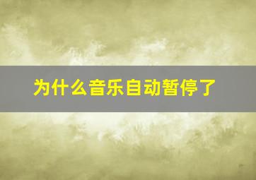 为什么音乐自动暂停了