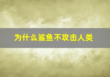 为什么鲨鱼不攻击人类