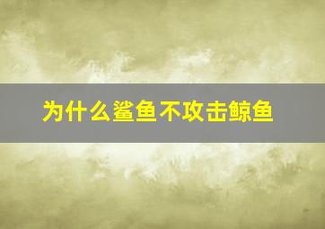 为什么鲨鱼不攻击鲸鱼