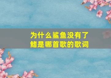 为什么鲨鱼没有了鳍是哪首歌的歌词