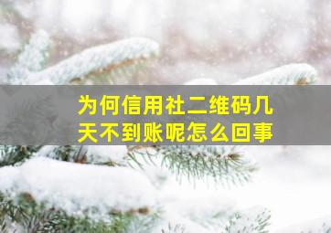 为何信用社二维码几天不到账呢怎么回事