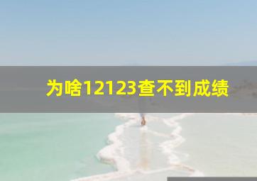 为啥12123查不到成绩