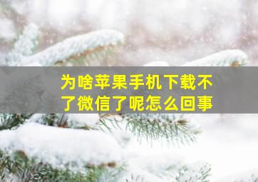 为啥苹果手机下载不了微信了呢怎么回事