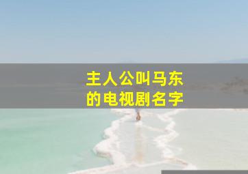 主人公叫马东的电视剧名字