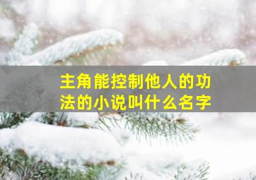 主角能控制他人的功法的小说叫什么名字