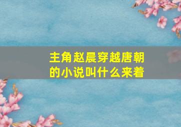 主角赵晨穿越唐朝的小说叫什么来着