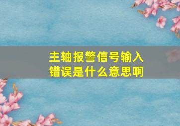 主轴报警信号输入错误是什么意思啊