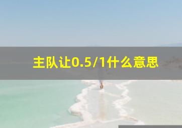 主队让0.5/1什么意思