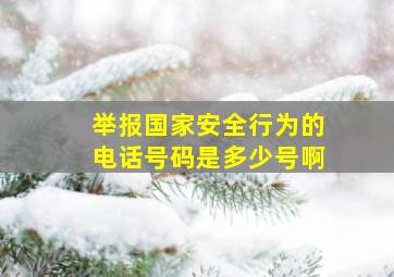 举报国家安全行为的电话号码是多少号啊