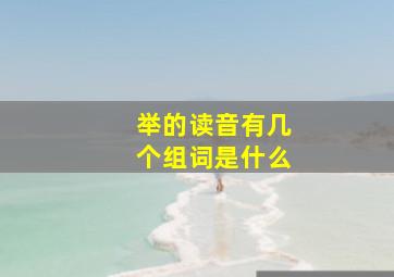 举的读音有几个组词是什么