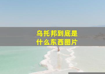 乌托邦到底是什么东西图片