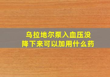 乌拉地尔泵入血压没降下来可以加用什么药