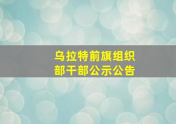 乌拉特前旗组织部干部公示公告