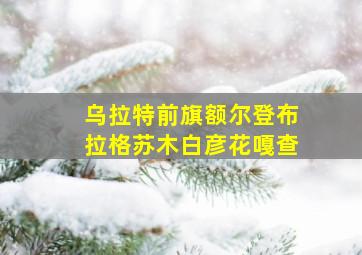 乌拉特前旗额尔登布拉格苏木白彦花嘎查