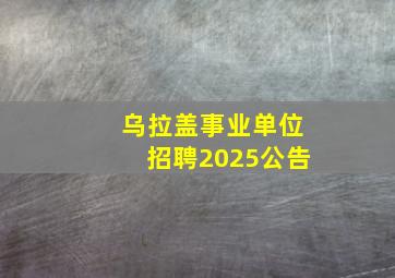 乌拉盖事业单位招聘2025公告