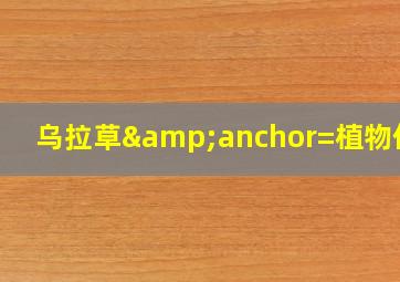 乌拉草&anchor=植物价值