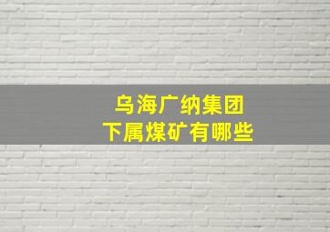 乌海广纳集团下属煤矿有哪些