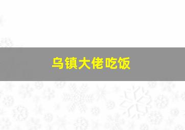 乌镇大佬吃饭