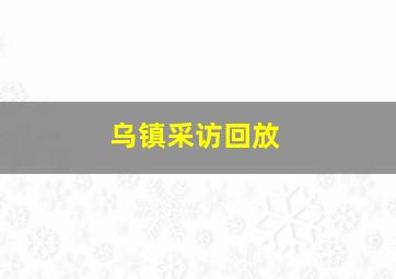 乌镇采访回放