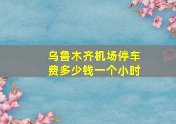 乌鲁木齐机场停车费多少钱一个小时