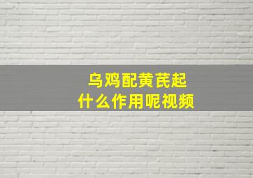 乌鸡配黄芪起什么作用呢视频