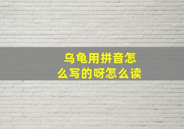 乌龟用拼音怎么写的呀怎么读