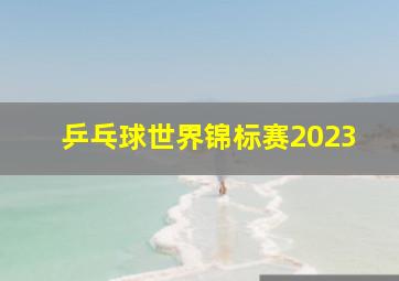 乒乓球世界锦标赛2023